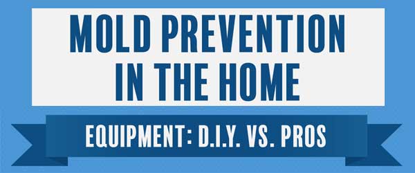 Mold prevention in the home: DIY vs Pros | Cleaning Business Today